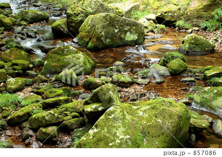 苔生した石と渓流 857086