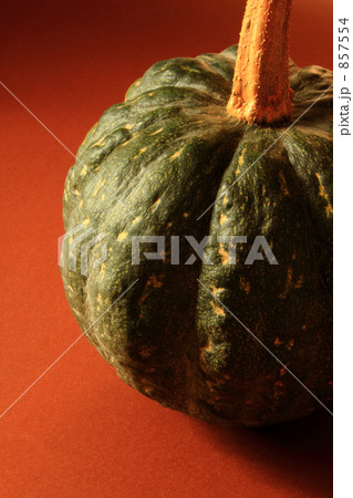 かぼちゃ 857554