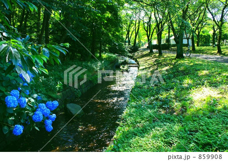 松風公園 859908