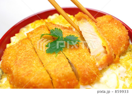 カツ丼 カツ丼 859933