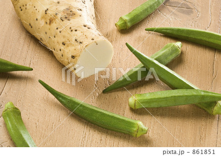 山芋　オクラ 861851