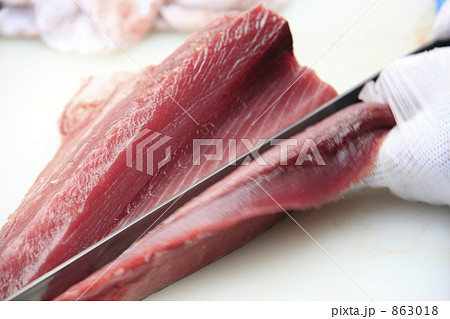 マグロ 863018