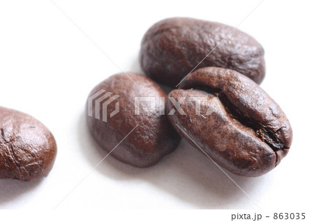 コーヒー豆 863035