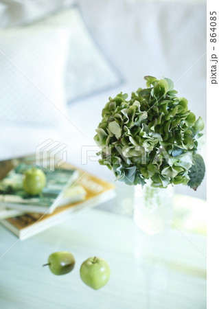 秋色アジサイと洋書　Ⅱ 864085