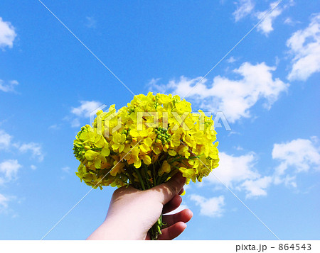 あなたへ捧げます 864543