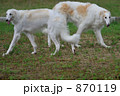 二頭でポーズ 870119