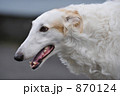 優雅 870124