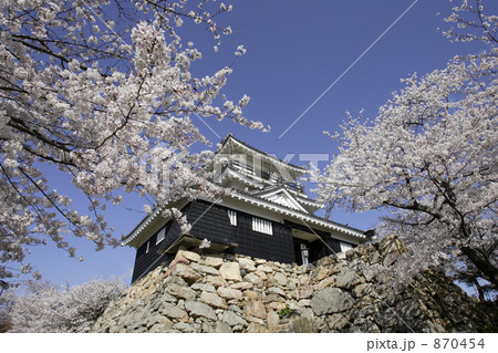 城と桜 870454