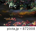 872008