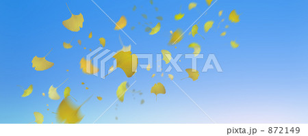 青空に舞い散る銀杏の葉　無地　合成 872149