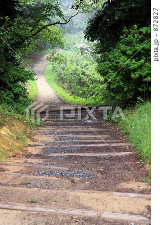 山道を行く 872827