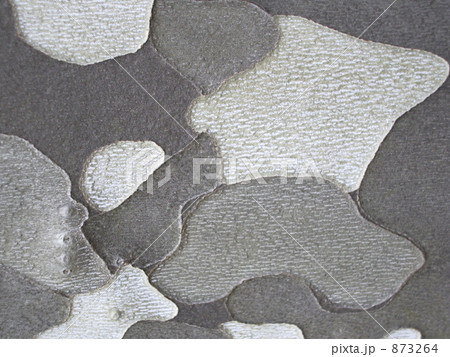 プラタナスの樹皮 873264