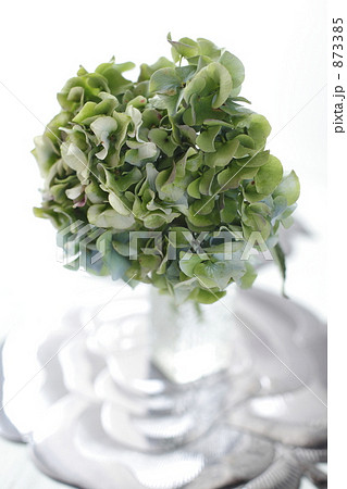 秋色アジサイ 873385