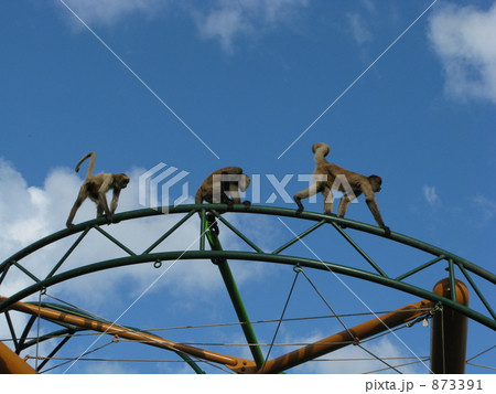 仲良し兄弟 仲良し兄弟 873391