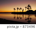 ヤシの木、夕景 873496