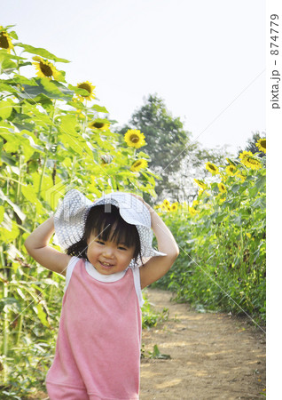 ひまわり園を歩く２歳の女の子 874779