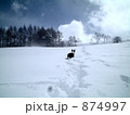 どこへ？ 874997