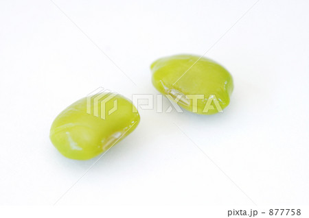 白山だだちゃ豆 白山だだちゃ豆 877758