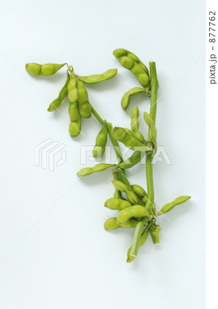 白山だだちゃ豆 白山だだちゃ豆 877762