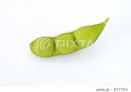 白山だだちゃ豆 877763