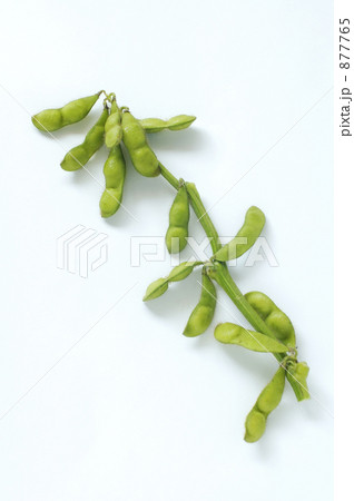 白山だだちゃ豆 877765