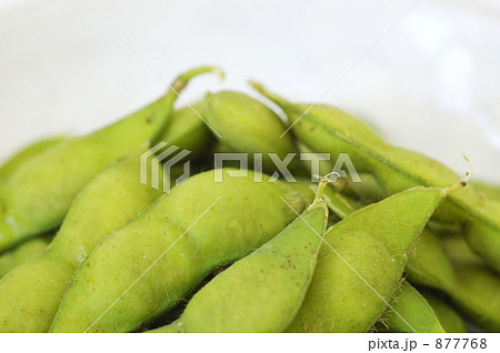 白山だだちゃ豆 877768