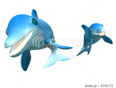 イルカ イルカ 878172