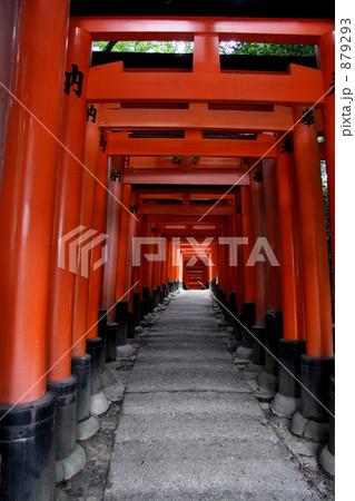 伏見稲荷大社の千本鳥居 縦位置 の写真素材 伏見稲荷大社の千本鳥居 縦位置 の写真素材