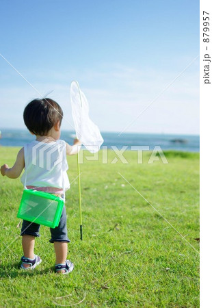 虫捕りにいくじょ～ 879957