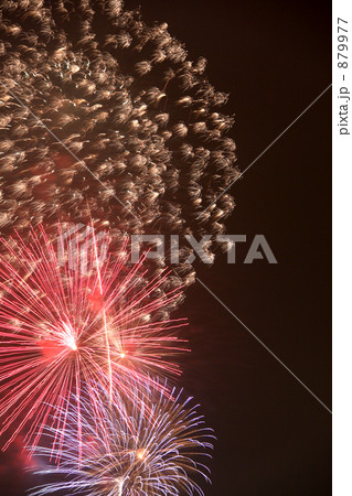 花火3兄弟 879977