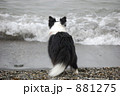 881275