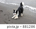 あそぼっ♪ 881286