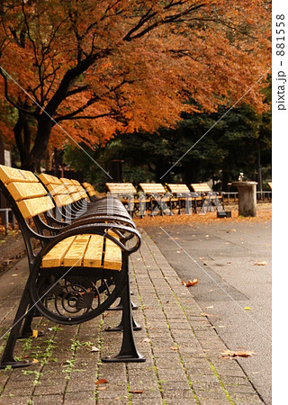 秋の日比谷公園 881558