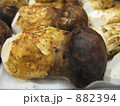 松茸 882394
