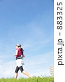 883325
