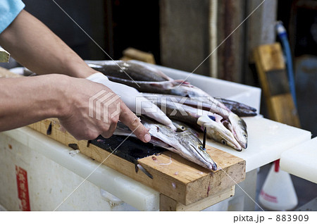 ハモをさばく ハモをさばく 883909