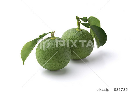 かぼす かぼす 885786