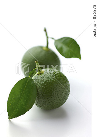 かぼす かぼす 885878