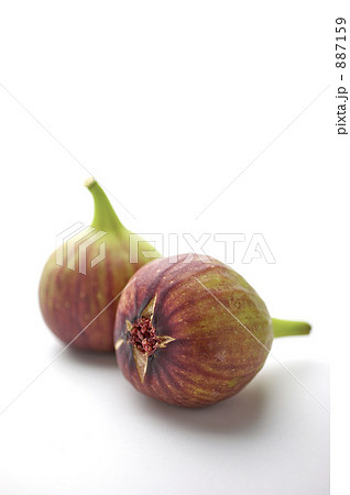 イチジク 887159