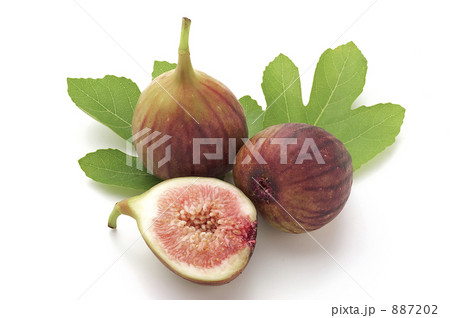 イチジク 887202