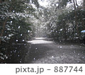 887744