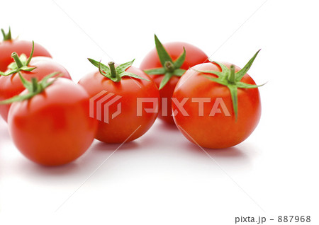 ミディトマト ミディトマト 887968