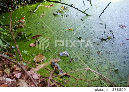 汚れた水の写真素材 89