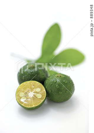 シークヮーサー 889348