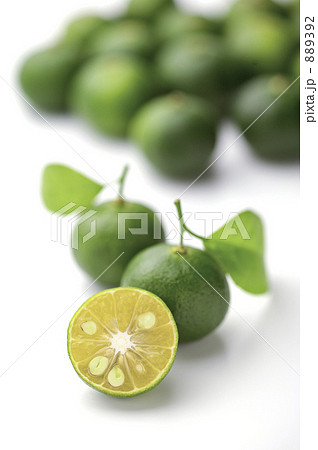 シークヮーサー シークヮーサー 889392