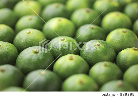 シークヮーサー 889399