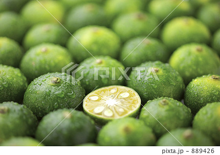 シークヮーサー 889426