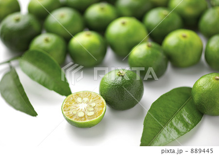 シークヮーサー 889445