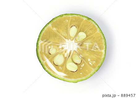 シークヮーサー シークヮーサー 889457