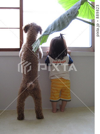 犬と子供の写真素材